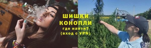 шишки Аркадак