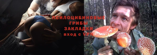 spice Арсеньев