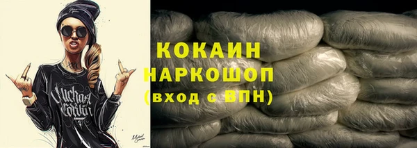 шишки Аркадак