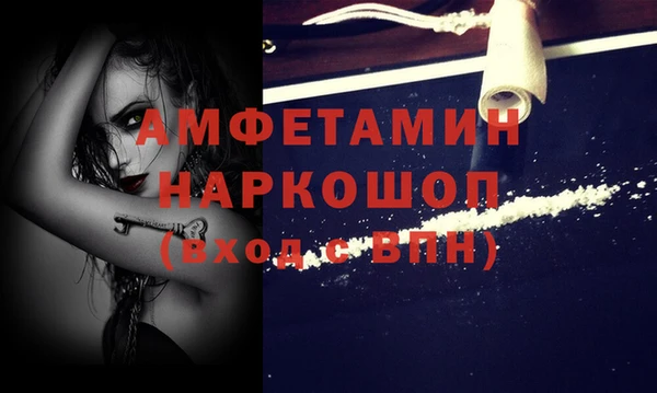 шишки Аркадак