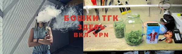 шишки Аркадак