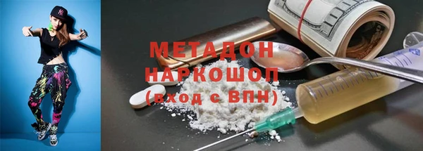 шишки Аркадак