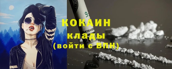 шишки Аркадак