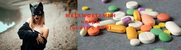 шишки Аркадак
