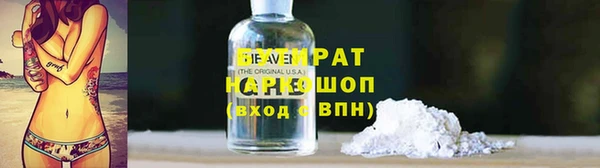 шишки Аркадак