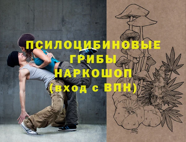 шишки Аркадак