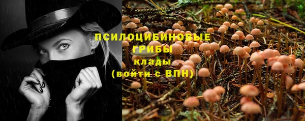 альфа пвп Армянск