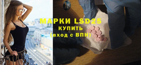 шишки Аркадак