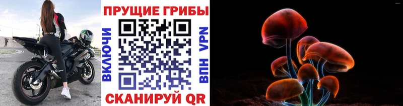 Галлюциногенные грибы мицелий  Пыть-Ях 